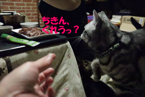 ちきんっ!