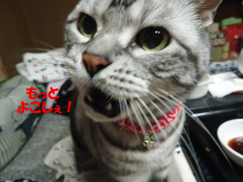 足りるかぁっっ!