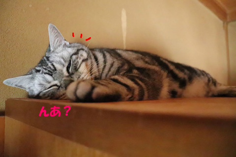 ん?