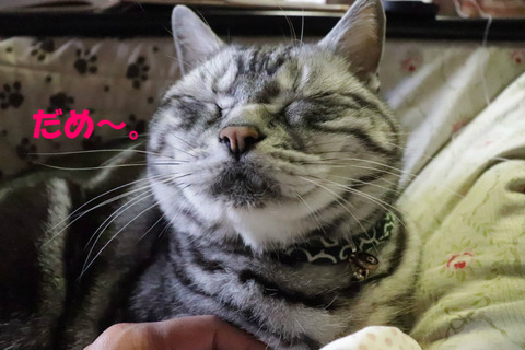 どかないもんね~。