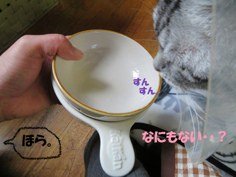 あれ?