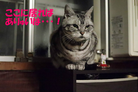 おいら、待ってう!