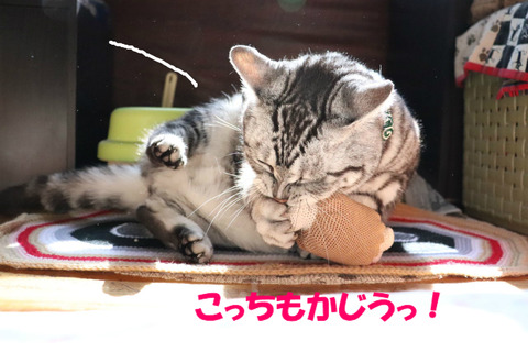 えいっ!