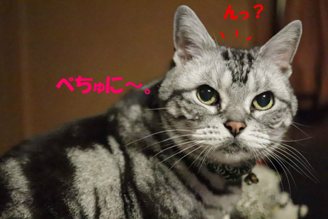 ?