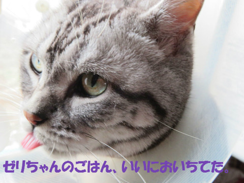 食べ損ねまちたがっ。