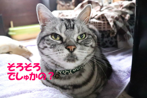 ごはん、くりぇ。