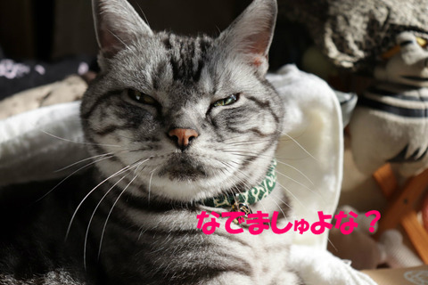 ね?