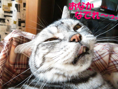 はやく~。