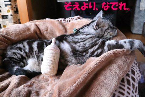 ほれ。