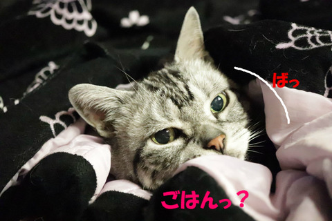 !?