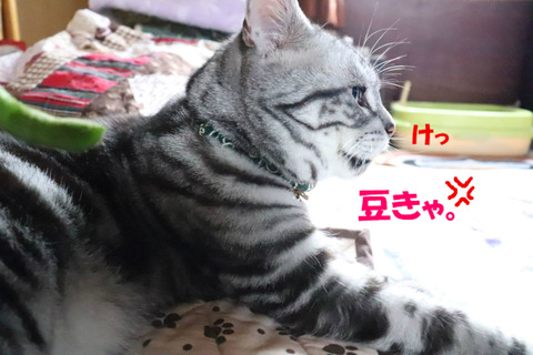 ゼリちゃん、おかちいでしゅじょ?
