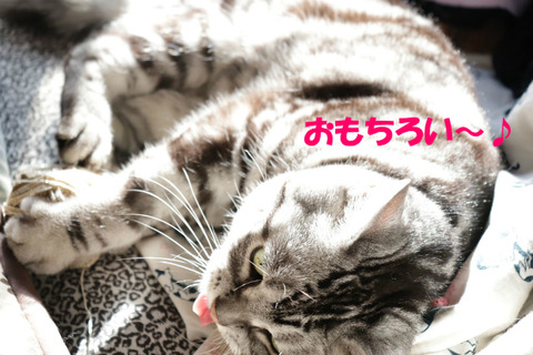 ♪