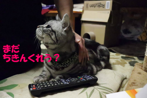 なでうなりゃくれましゅよな?