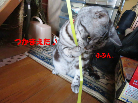 やってやりまちたとも!