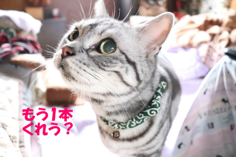 おいら、がんばりまちたじょ?