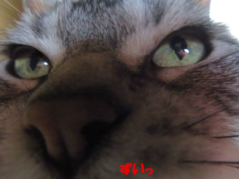 む~ん。