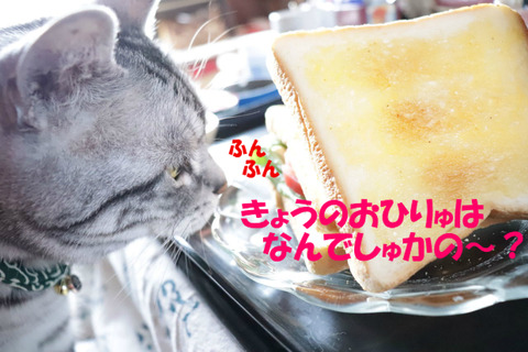 何、食べう?