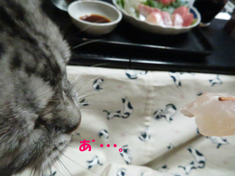 くそぅ。