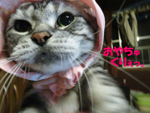 さぁっ!