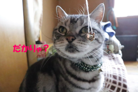 なに?