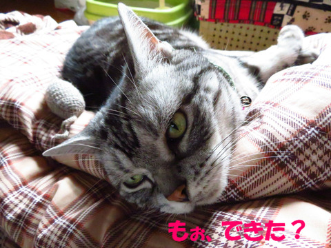 まだ?