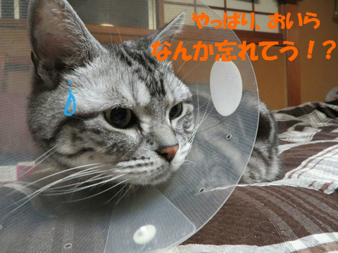 うむぅ。
