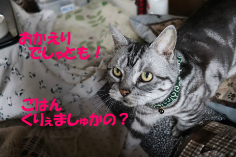 待ってまちたとも!