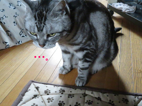 んー・・。
