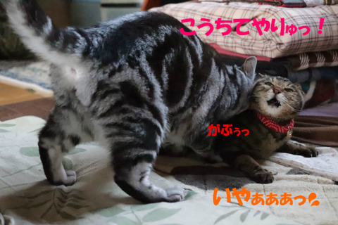 !