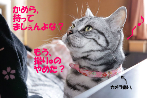 ~♪