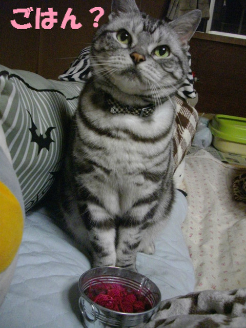 おいら、待ってうの。