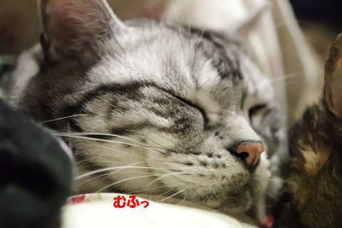 ~♪