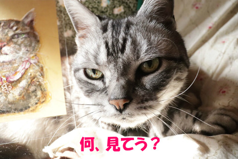 BlogPaint