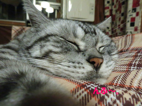 zzz