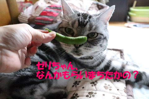 おいらも~!