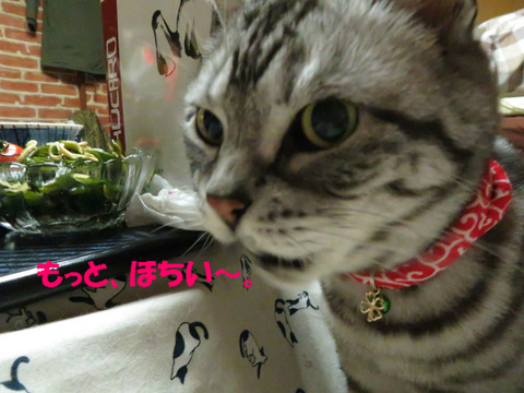 もっと、くりぇ!