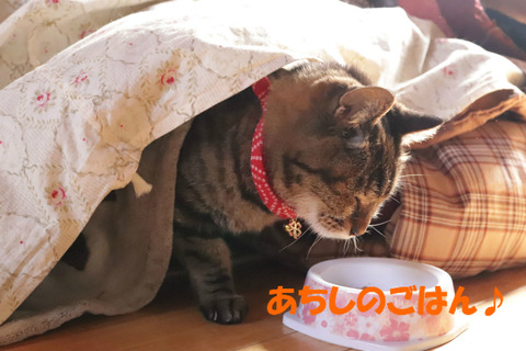 いただきます。
