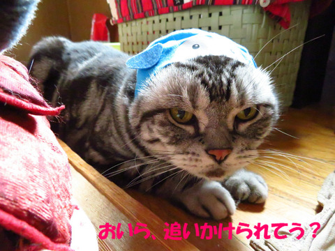 なんで?