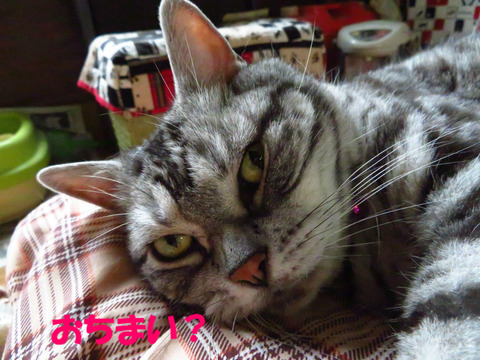 もぉ、いい?