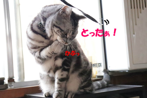 ん?