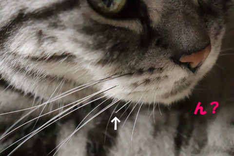 なに?