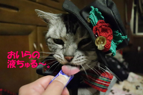 戻って来た~♪