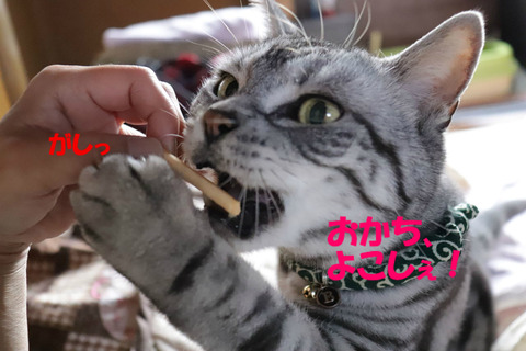 おいらも食べうの!