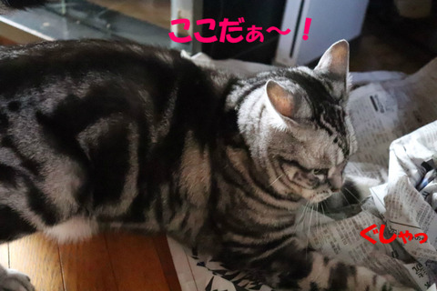 とうっ!