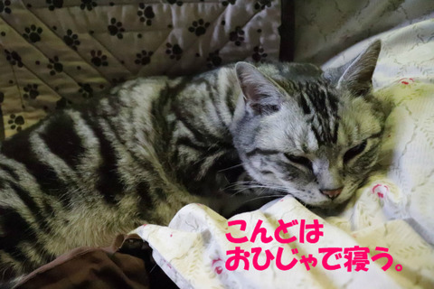ふぃ~。