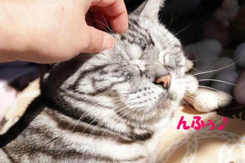 やっと来まちたな?