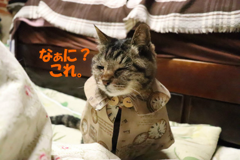 ?