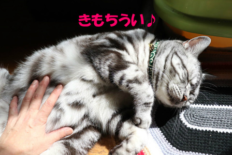 ふぃ~。