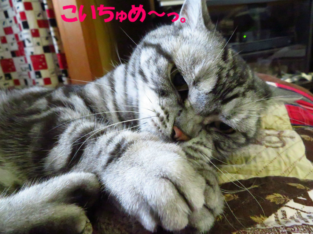 鼻 もげる 梵亭生活 鼻 もげる 梵亭生活