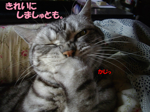 BlogPaint